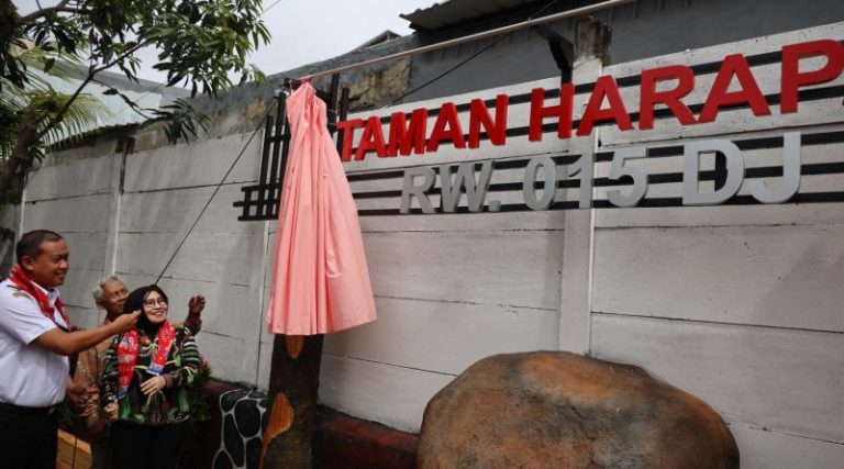 IMG-20260122-WA0009-800x445